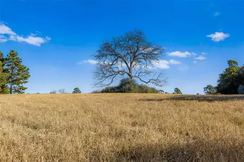 tbd Pr 1316, Centerville, TX 75833