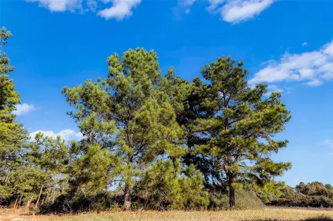 tbd Pr 1316, Centerville, TX 75833 photo 19
