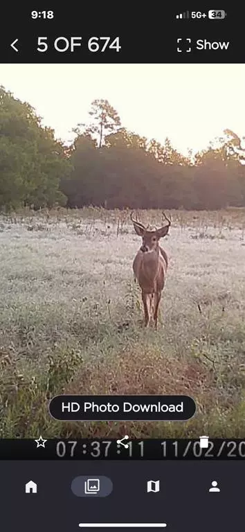 tbd Pr 1316, Centerville, TX 75833 photo 12