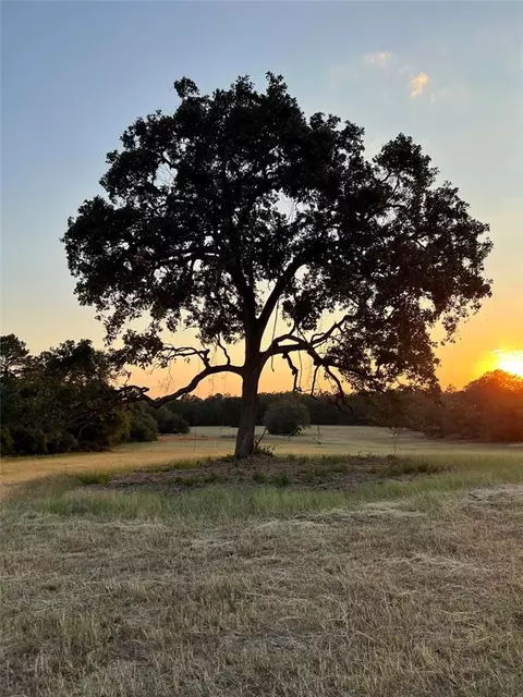 tbd Pr 1316, Centerville, TX 75833 photo 39