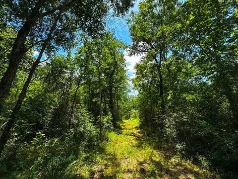 4888 Baldwin Dr, Hungerford, TX 77448