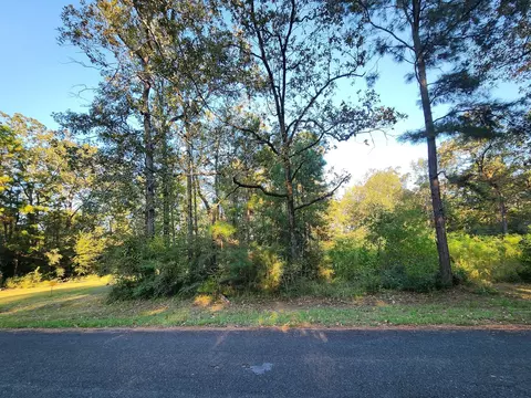 0 Hackberry Dr, Onalaska, TX 77360