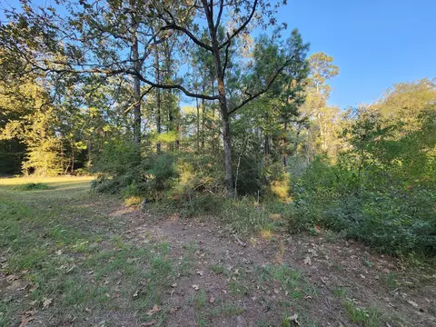 0 Hackberry Dr, Onalaska, TX 77360 photo 5