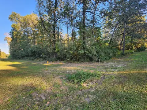 0 Hackberry Dr, Onalaska, TX 77360 photo 4