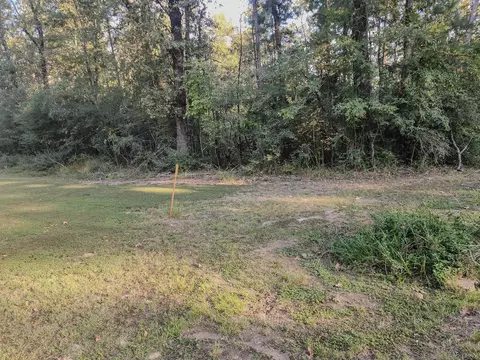 0 Hackberry Dr, Onalaska, TX 77360 photo 2