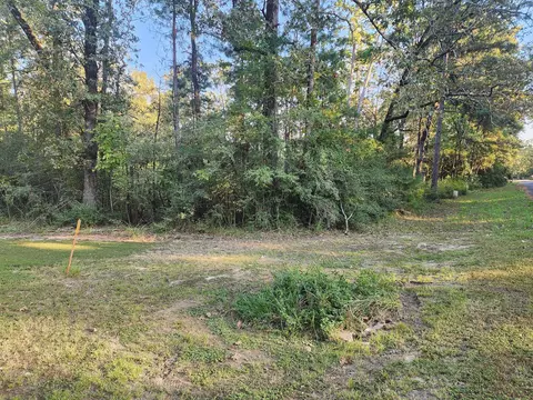 0 Hackberry Dr, Onalaska, TX 77360 photo 3