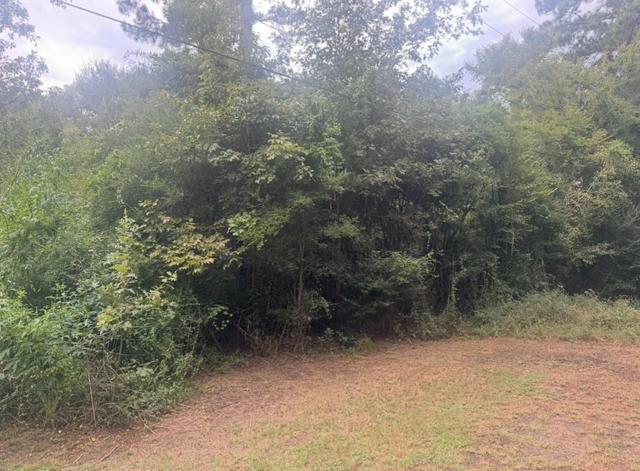 tbd Jill Ln, Livingston, TX 77351
