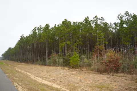 16098 Forest Mill Rd, Willis, TX 77378 photo 6
