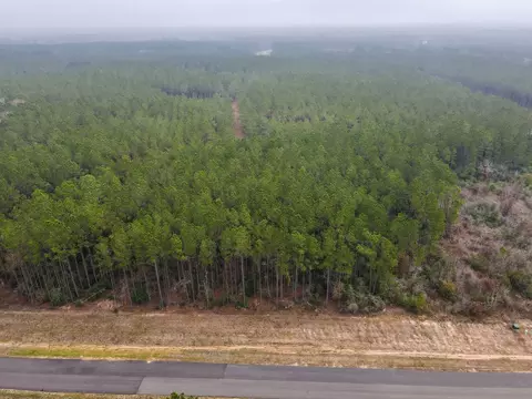 16098 Forest Mill Rd, Willis, TX 77378 photo 5