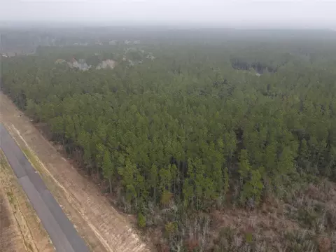 16098 Forest Mill Rd, Willis, TX 77378 photo 3