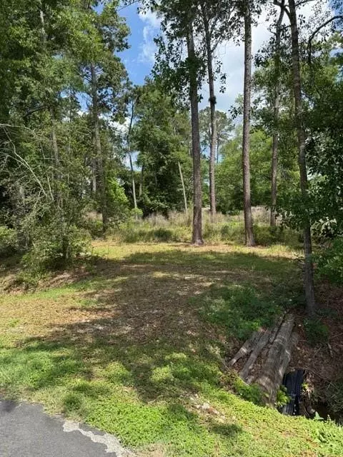 2431 Gladiator Drs, New Caney, TX 77357