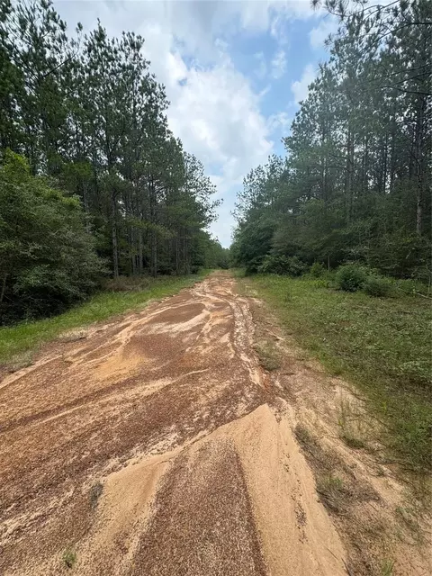 10634 Forest Mill Rd, Willis, TX 77378 photo 4
