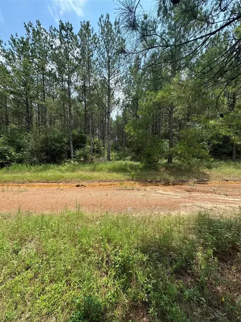 10634 Forest Mill Rd, Willis, TX 77378 photo 5
