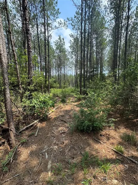 10634 Forest Mill Rd, Willis, TX 77378 photo 7
