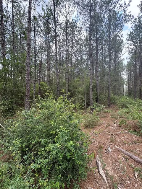 10634 Forest Mill Rd, Willis, TX 77378 photo 3
