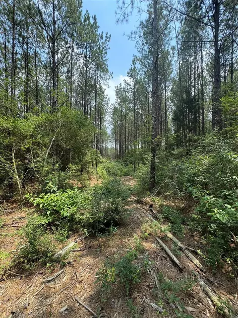 10634 Forest Mill Rd, Willis, TX 77378 photo 6