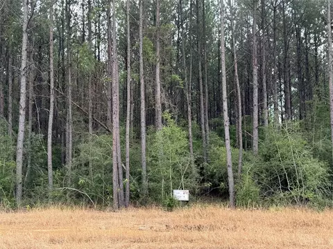10634 Forest Mill Rd, Willis, TX 77378 photo 2