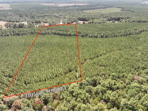 0 Sunflower Rd, Livingston, TX 77351