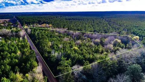 000 Holly Grove Rd, Livingston, TX 77351