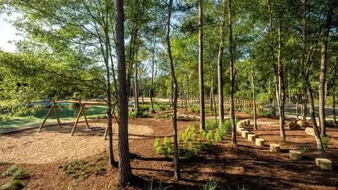 View/Area - 18226 Upper Brook St, Conroe, TX 77302 photo 14 of 16
