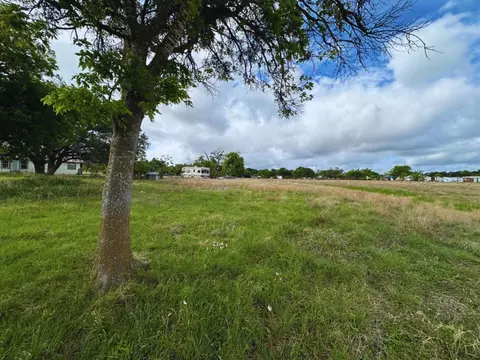 Other - 718 E Fm 243, Bertram, TX 78605 photo 5 of 6