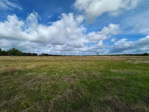 Other - 718 E Fm 243, Bertram, TX 78605 photo 6 of 6