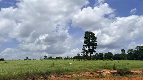 lot247 Meadow View Dr, Hillister, TX 75979