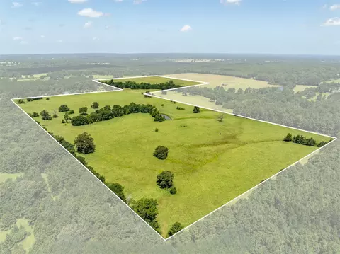 1044 Acr 379, Palestine, TX 75801