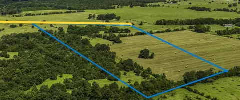 10265 Fm 1774 Tract B1, Plantersville, TX 77363