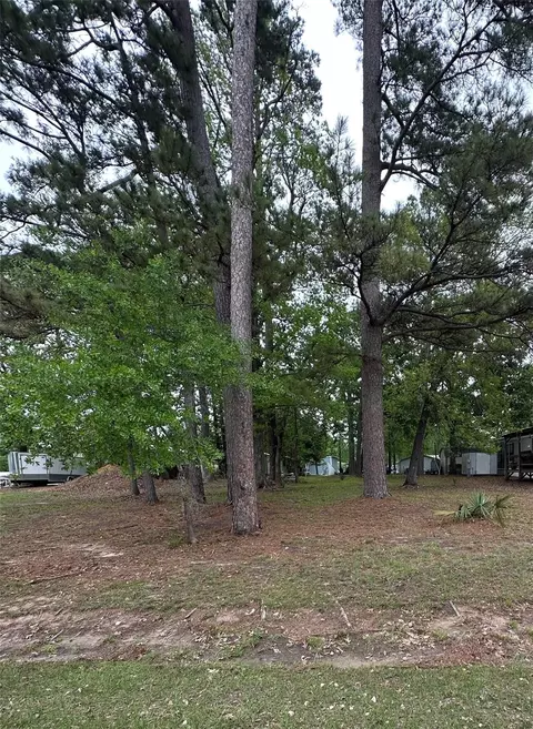 180 Holly Trl, Trinity, TX 75862 photo 5