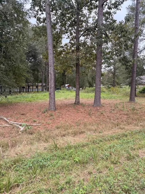 25546 Cambridge Blvd, New Caney, TX 77357