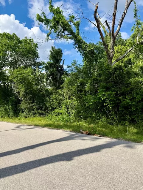 13650 Salt Grass Trl #LOT 106, Cypress, TX 77429