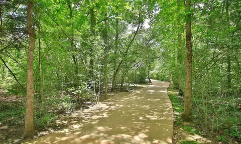 243 Brecon Buff Dr, Willis, TX 77318 photo 23