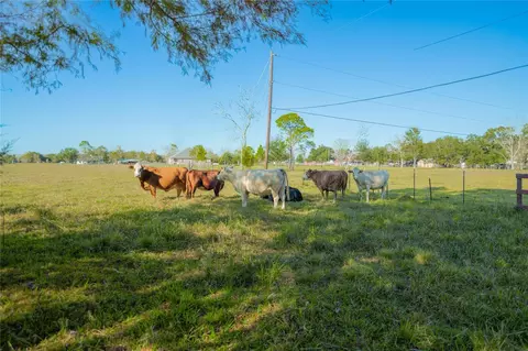 0 W South, Alvin, TX 77511