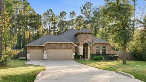 11041 Shadow View Dr, Conroe, TX 77304 photo 1