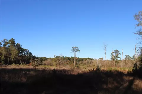 00 Tbd Tx-150, Coldspring, TX 77331