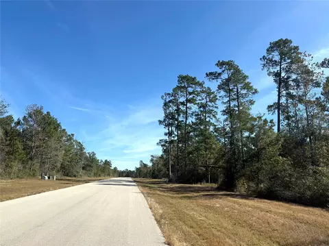 312 Iron Horse Rd, New Waverly, TX 77358