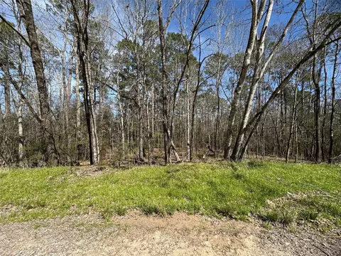 0000 Saddle Surrey Ln, Coldspring, TX 77331