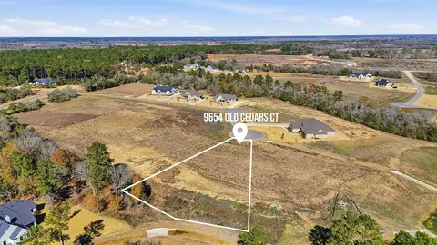 9654 Old Cedars Ct, Plantersville, TX 77363