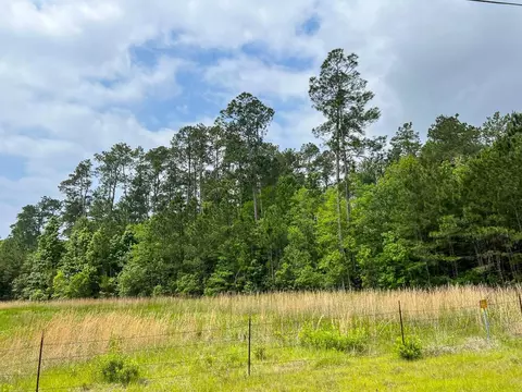 0 Elise Gore Ln, Silsbee, TX 77656