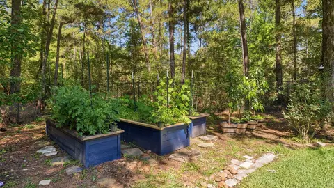Other - 39 Creek Forest Ln, Conroe, TX 77384 photo 9 of 9