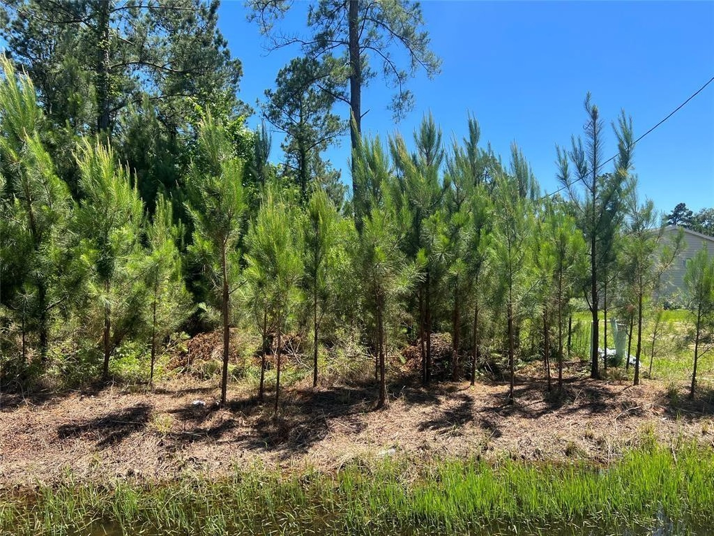 848 County Road 3679 J