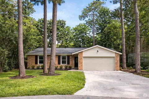 10 Basal Briar Ct, The Woodlands, TX 77381