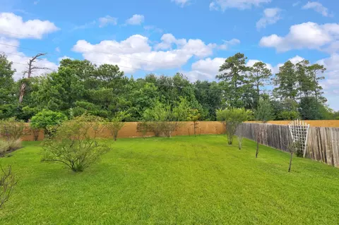 Exterior - 25031 Karacabey Ct, Spring, TX 77389 photo 11 of 14
