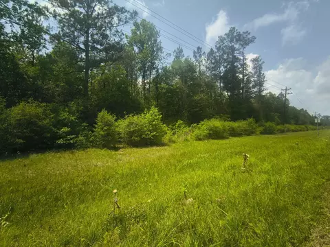 tbd Fm 105, Evadale, TX 77615