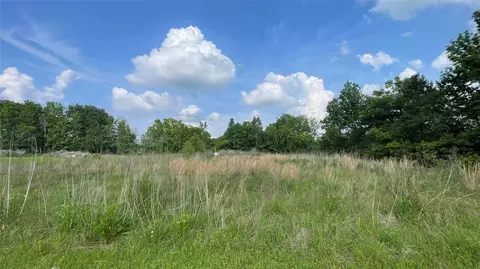 0 Mac Ln, Ames, TX 77575 photo 2