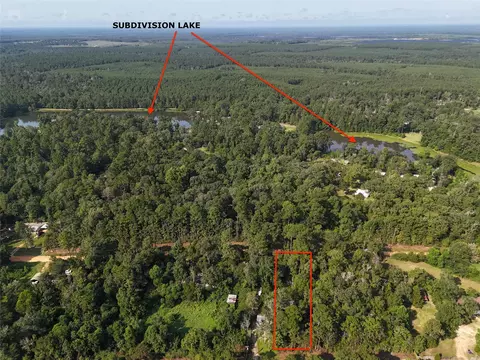 tbd Ole Long Pull Rd, Livingston, TX 77351