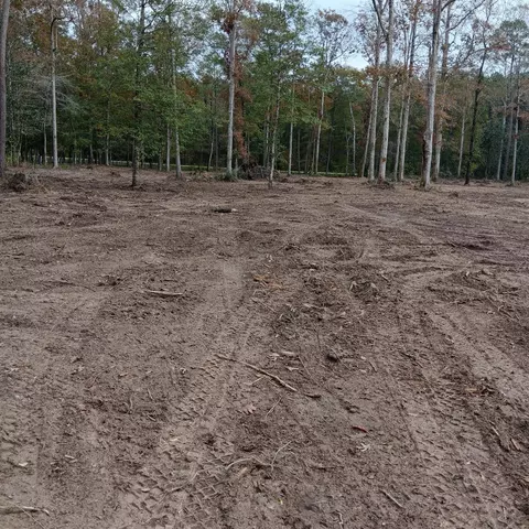 lot22 Plum Pudding Rd, Livingston, TX 77351