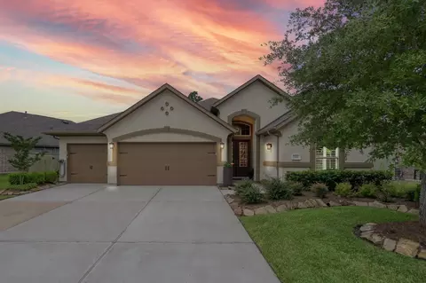 106 Gray Vervain Ct, Montgomery, TX 77316