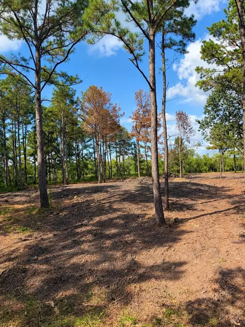 348 Private Road 77004 Rd, Liberty, TX 77575